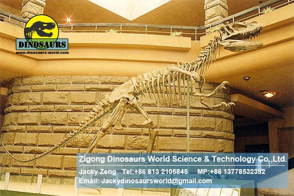 Amusement park skeleton repalica Lufengosaurus Skeleton DWS009