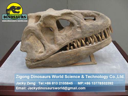 Dinopark dinosaurs skeleton replica ( Tyrannosaurus Rex Head ) DWF002