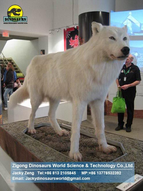 Animatronic animals Playground Equipment snow wolf DWA016