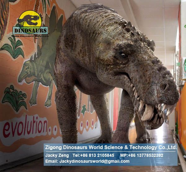 School educational equipments Animatronic Dinosaurs ( Thrinaxodon ) DWD031