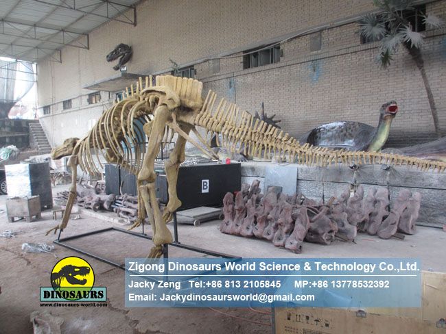 Science education model Simulation Hadrosaurs Skeleton Replica DWS019-2