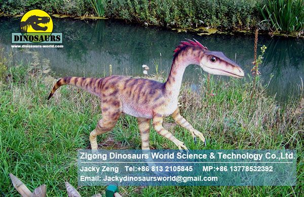 Animatronic Dinosaurs exhibition show ( Coelophysis ) DWD011