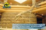 Amusement park skeleton repalica Lufengosaurus Skeleton DWS009