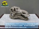 Dinosaurs skull skeleton replica ( Hadrosaur Head ) DWF003