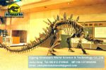 Exhibition hall dinosaurs skeleton replica art toys ( Stegosaur )DWS006