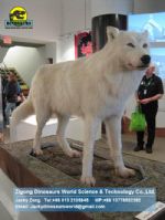 Animatronic animals Playground Equipment snow wolf DWA016