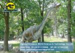 Amusement show model animatronic dinosaur (Brachiosaurus) DWD095