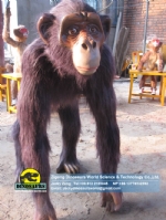 Animatronic animals Life Size Chimpanzee DWA125