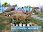 Amusement park exhibition model designs dinosaurs (Shunosaurus) DWD054