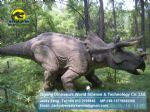 Playground harry potter park Animatronic Dinosaurs ( Triceratops ) DWD051