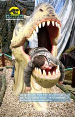 Tyrannosaurus rex Head for kids take photos DWE026