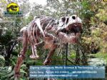 Dinosaur animatronic amusement park T- Rex DWS014